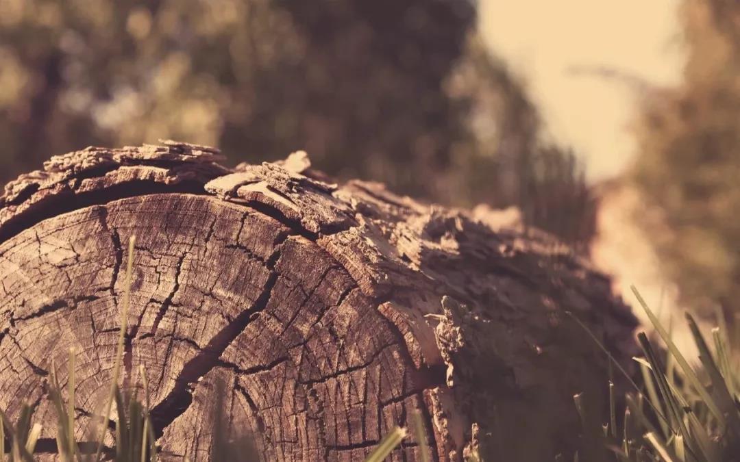 1569383880799057.jpg 1111.jpg