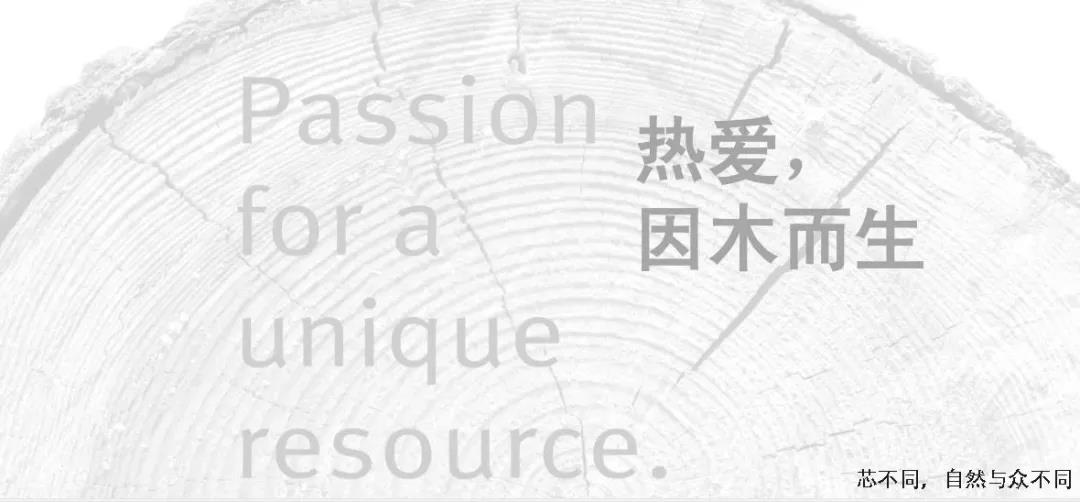 1569383923108508.jpg 4444.jpg