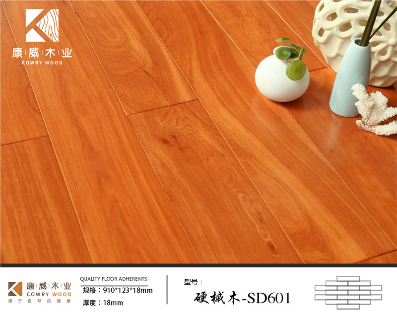 1623383053139440.jpg 硬槭木-SD601.jpg