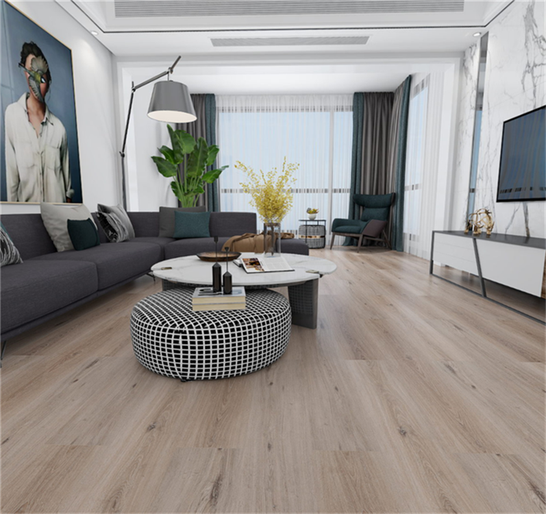 1649228979749656.png 8988888.png