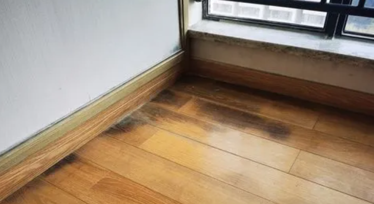 1649381085132950.png 8988888.png