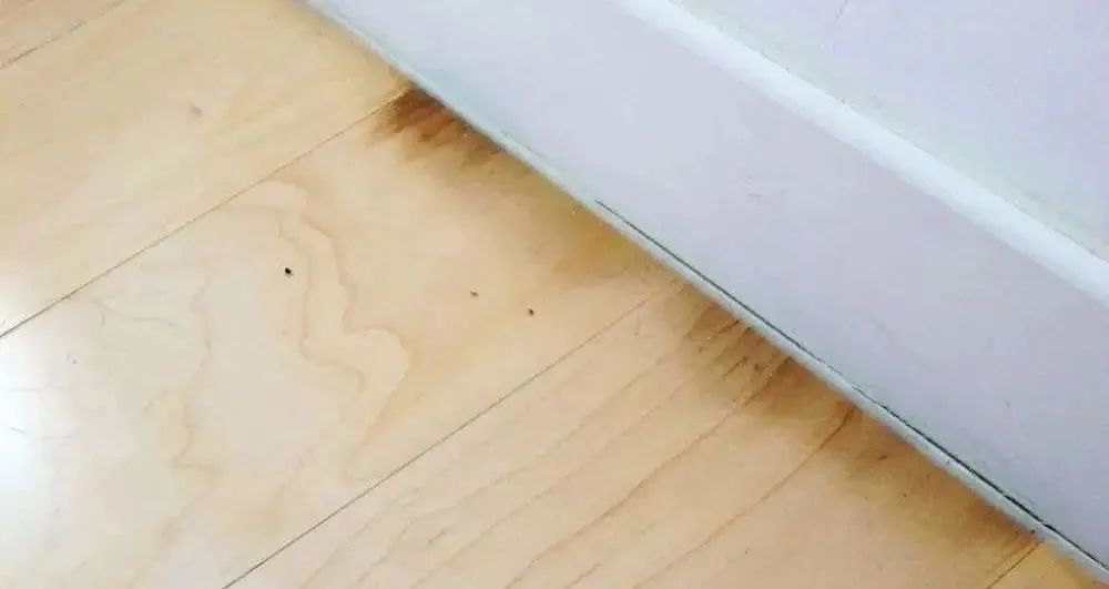 1649381211949195.jpg 微信圖片_20220407094810.jpg