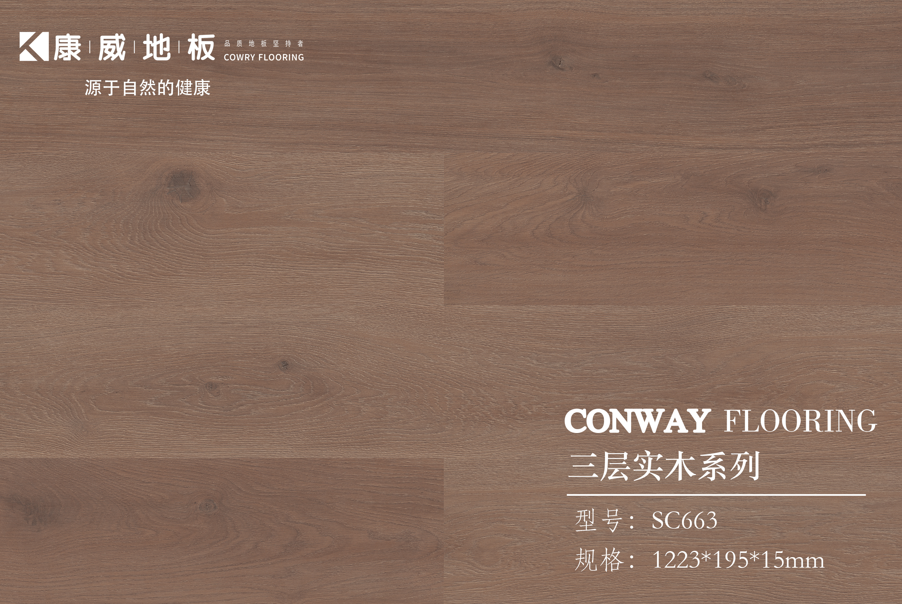 1672887220120669.jpg SC663.jpg