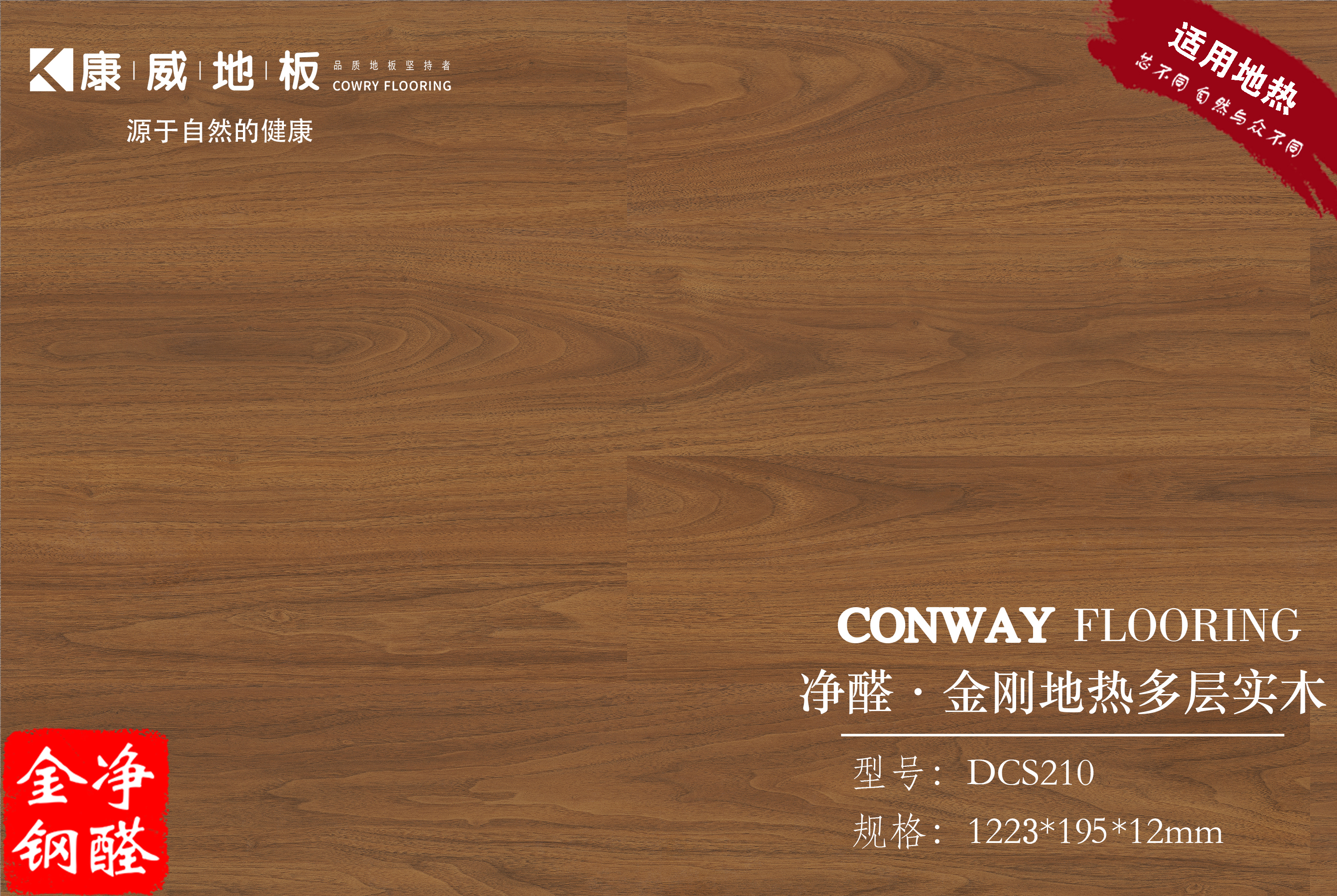 1672887611196095.jpg DCS210.jpg