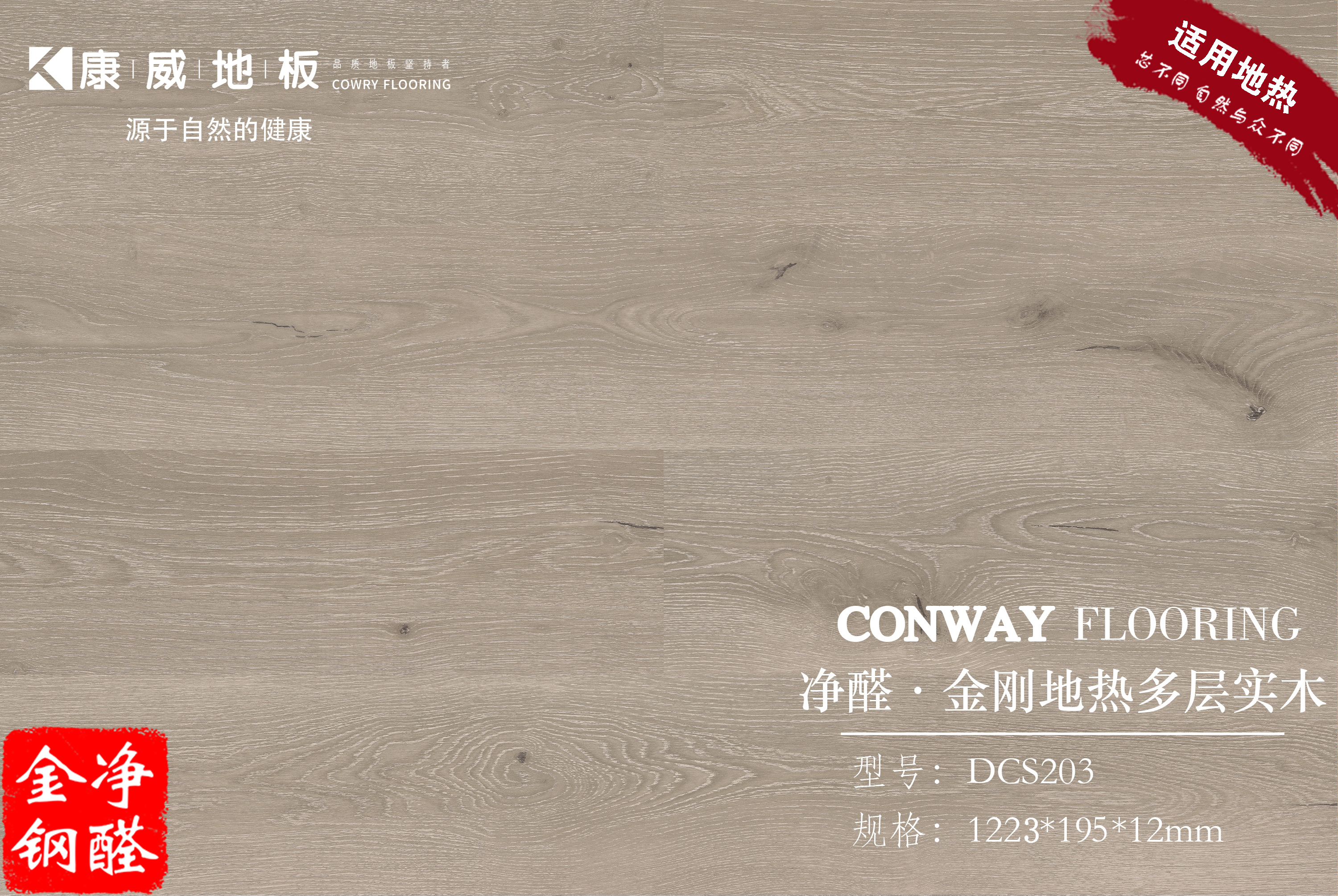 1672887864744708.jpg DCS203.jpg