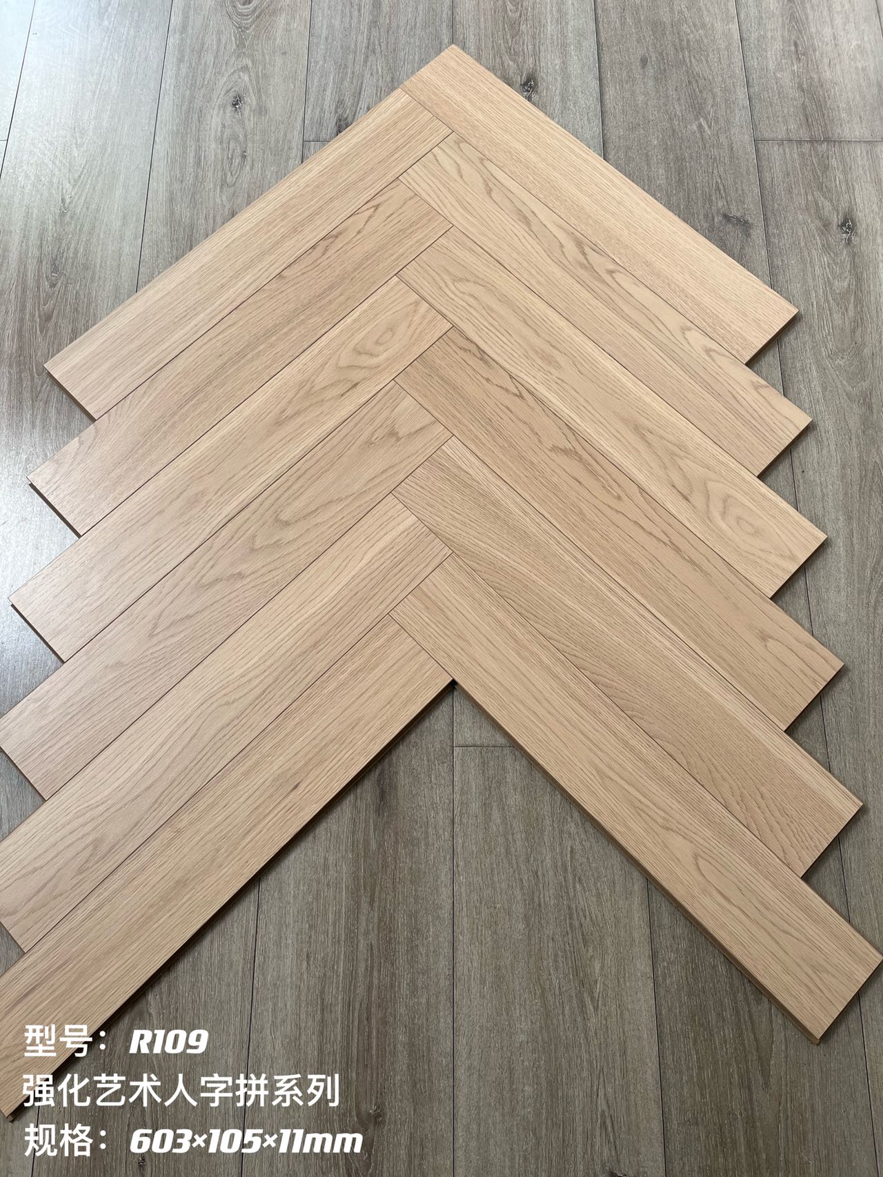 1686281309130472.jpg R109.jpg