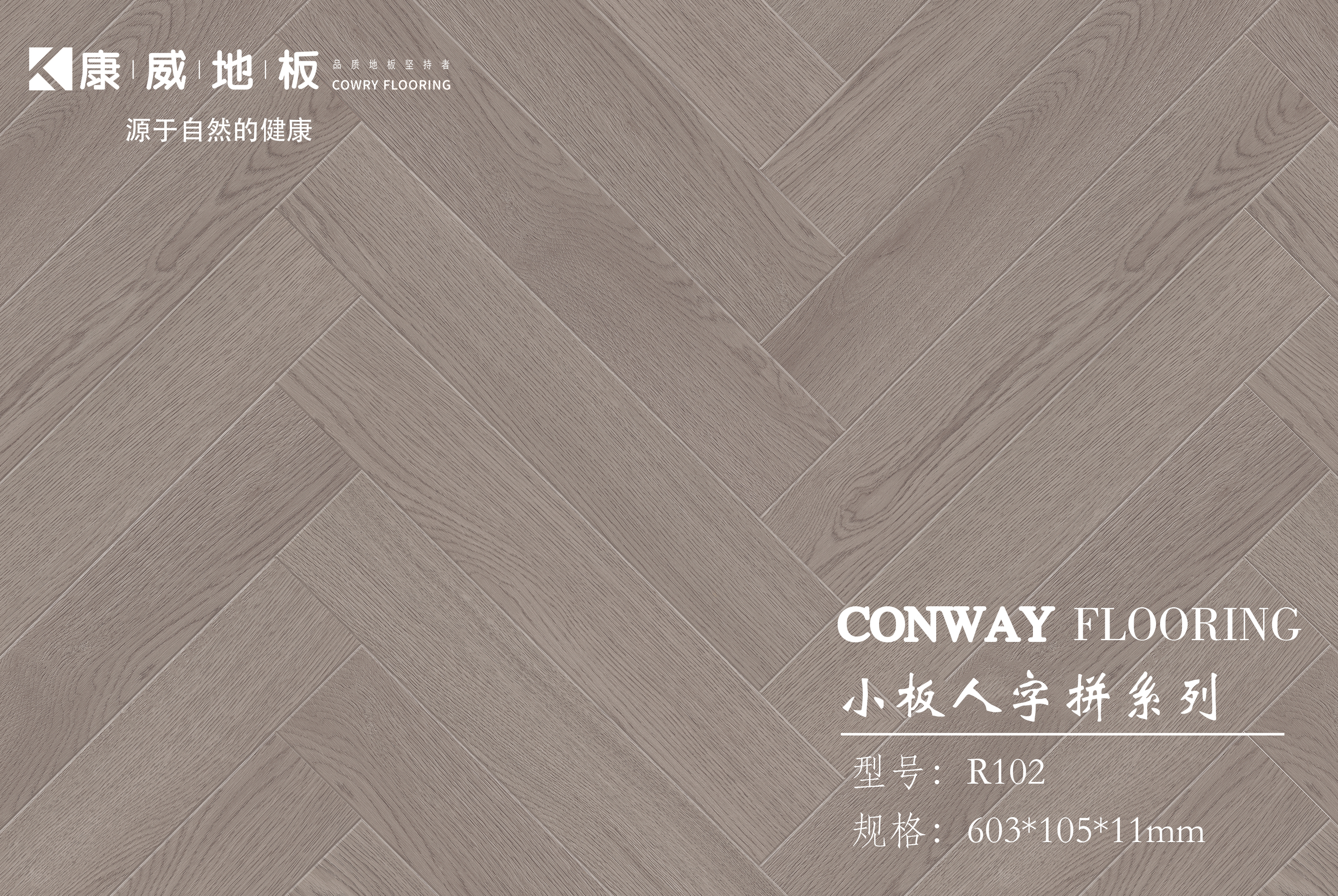 1686281555719491.jpg R102.jpg